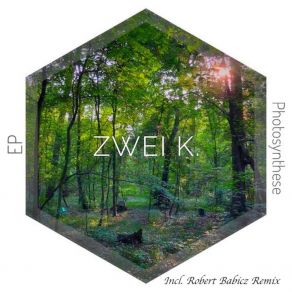 Download track Photosynthese Zwei K