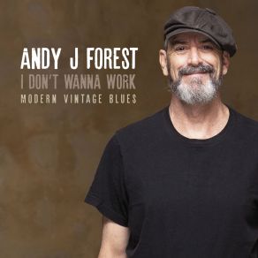 Download track High Times Low Life Andy J. Forest