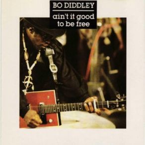 Download track Bo Diddley Put The Rock In Rock'n'Roll Bo Diddley