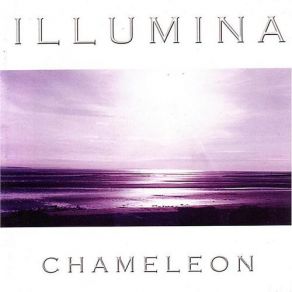 Download track Night Chameleon Illumina