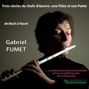 Download track Recorder Sonata In F Minor, TWV 41: F1: IV. Vivace Gabriel Fumet