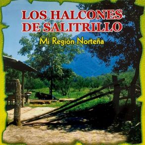 Download track Te He De Amar Y Te He De Amar Los Halcones De Salitrillo