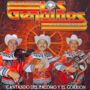 Download track Mil Flores De Mayo Los Genuinos De Jacala Hidalgo