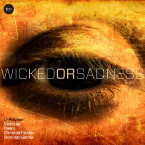 Download track Wicked Or Sadness (Faskil'S The Beats Are Broken Warm Up Remix) Li - PolymerFaskil