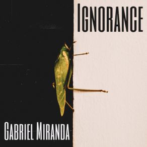 Download track Nobody Knows Nothing Gabriel Miranda