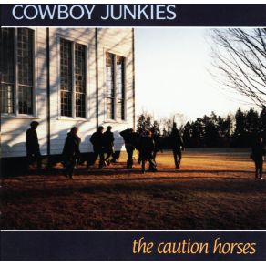 Download track Rock And Bird Cowboy Junkies