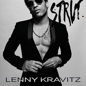 Download track The Pleasure And The Pain Lenny Kravitz