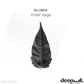 Download track Where's The Funk In That (Interlude) DJ LINCS