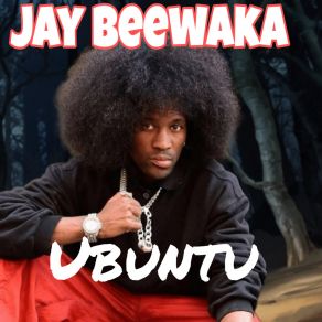 Download track Mad Over You Jay BeewakaDj Sango