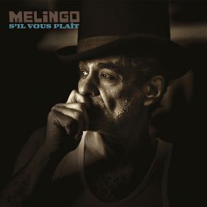 Download track Narigón Dub Melingo