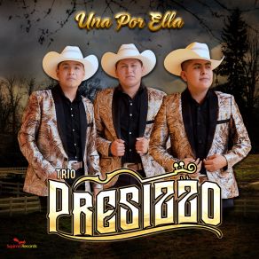 Download track Huapango Norteño Presizzo Trio Presizzo