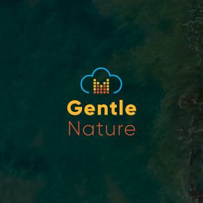 Download track Gentle Ocean Birds Play White Noise AmbienceMother Nature, Fx Sound, Rainforest Ambience