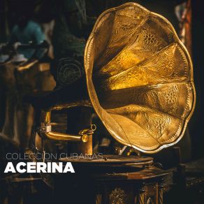 Download track ¡A Mí Con Porros! Acerina