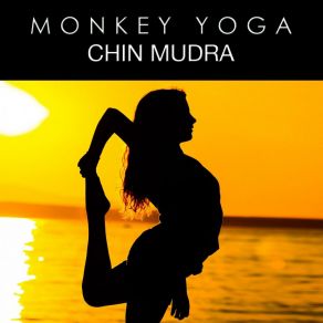 Download track Moon Meditation Monkey Yoga