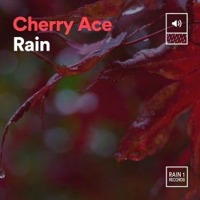 Download track Cherry Ace Rain, Pt. 13 Always Raining