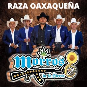 Download track Raza Oaxaqueña Los Morros De La Sierra