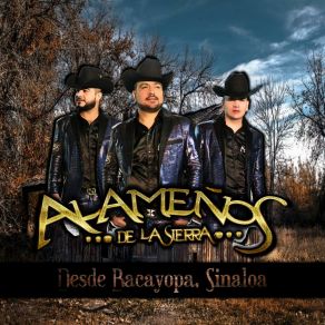 Download track Tus Verdades (En Vivo) Los Alameños De La Sierra