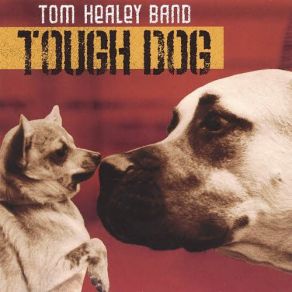 Download track Handcuffed Tom Healey Band