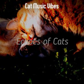 Download track Delightful Ambience For Kittens Cat Music Vibes