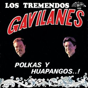 Download track El Fronterizo Los Tremendos Gavilanes