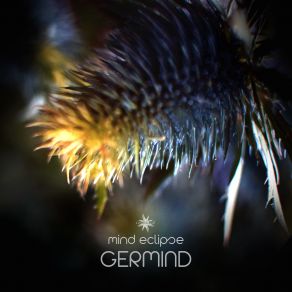 Download track Star Voice Germind