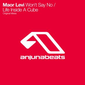 Download track Won'T Say No Maor Levi