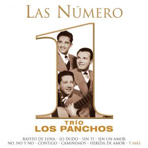 Download track Sin Un Amor (Remasterizado) Trio Los Panchos