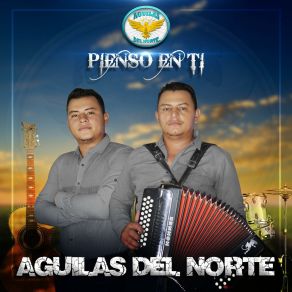 Download track Traguitos De Alcohol Águilas Del Norte 504