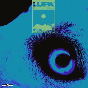 Download track Darkness LUPA