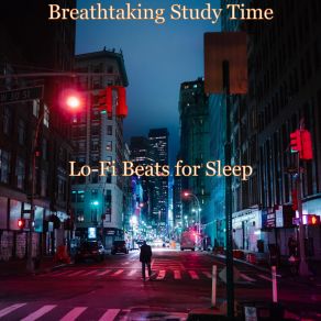 Download track High Class Music For Studying For Sleep