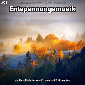 Download track Entspannungsmusik Pt. 30 Entspannungsmusik