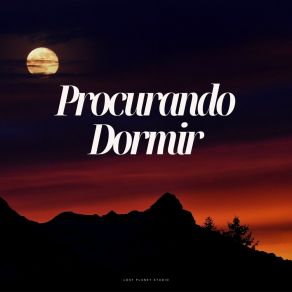 Download track Palm's Prelude Dormir E Meditar