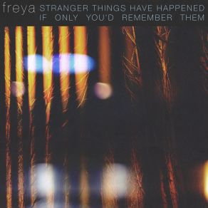 Download track Stranger Things Have Happened FreyaDear Laika