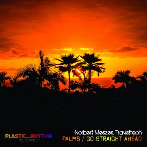 Download track Palms (Nelman Remix) Norbert MeszesNelman