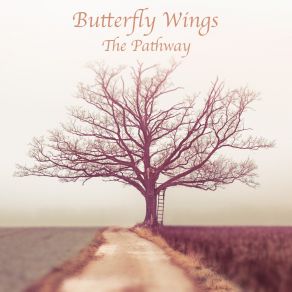 Download track The Pathway The Butterfly Wings