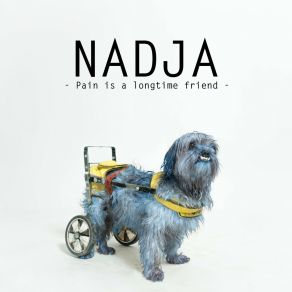 Download track My Sun Will Never Shine Nadja