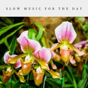 Download track (Slow) Care Me Just Once Slow-Reverb Museum