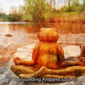 Download track Evolving Mind Yoga Music