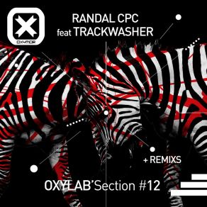 Download track Do You Get This (Dual Control Remix) TrackwasherDual Control