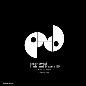 Download track Wrong Trip (Original Mix) Sezer Uysal