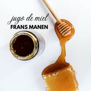 Download track Fly Me Frans Manen