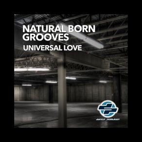 Download track Universal Dub Natural Born Grooves