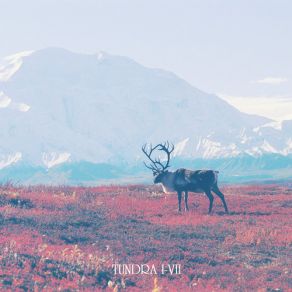 Download track Tundra VI Blamstrain