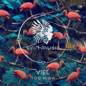 Download track Too High (DIBIDABO Remix) VielDibidabo