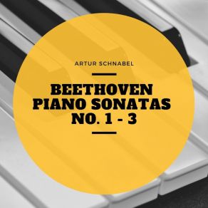 Download track Piano Sonata No. 1 In F Minor, Op. 2 No. 1: III. Menuetto, Allegretto Artur SchnabelLudwig Van Beethoven