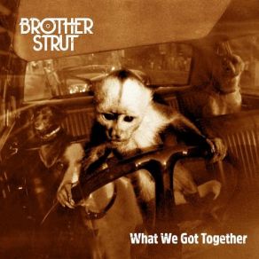 Download track Song For Marvin Brother Strut