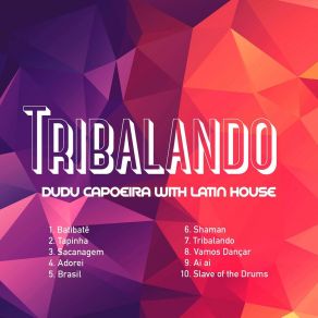 Download track Tapinha Dudu Capoeira