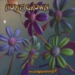 Download track Another Face In The Crowd Home Grown