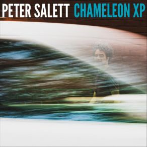 Download track In The Face Of The Wind Peter Salett