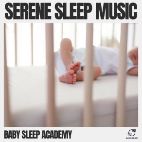 Download track Serene Sleep Baby Sleep Academy